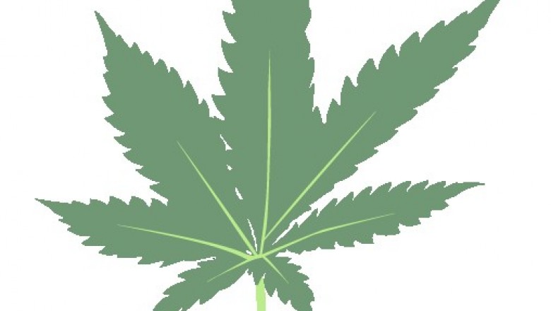 CBD wearables