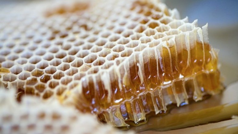 Strategies for Getting Top Good quality Manuka Honey