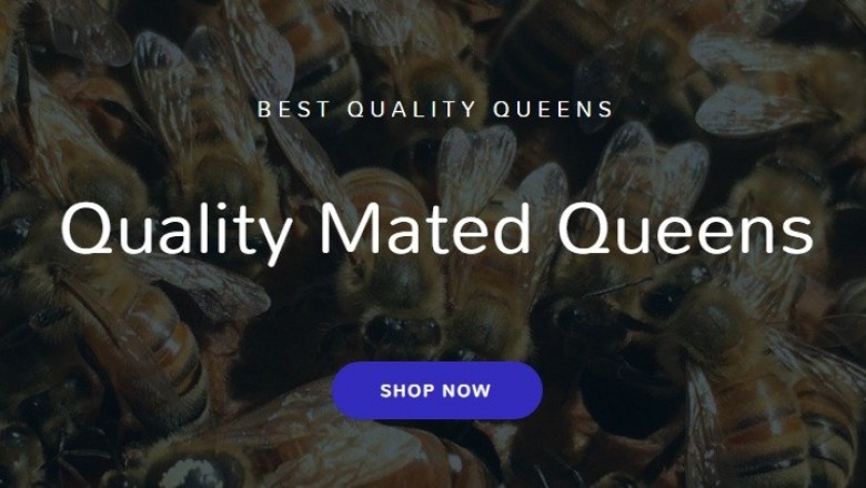 The Queen Bee