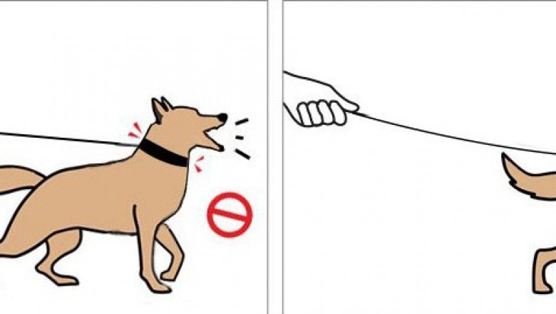 No Pull Dog Harness - Once you Desire the top Safety and Control for the Dog