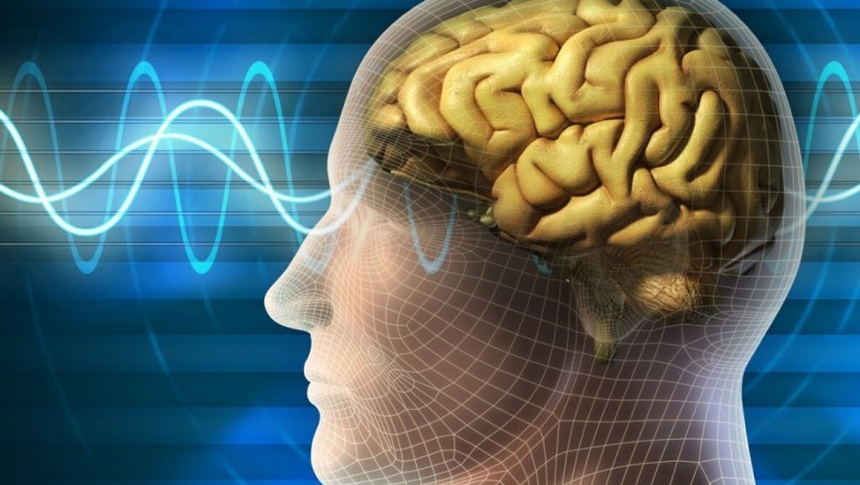 Best Memory Enhancer Supplements
