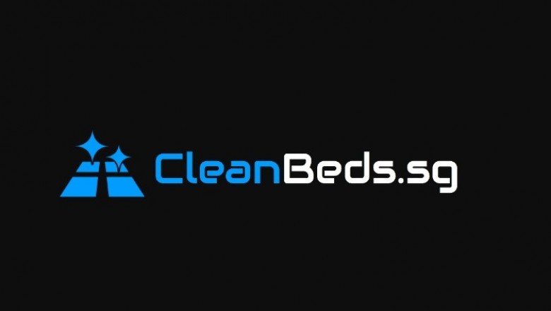 Have to have For Experienced Carpet Cleaning Services