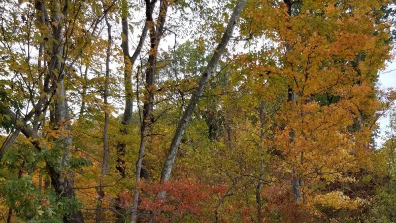 AUTUMN IN NWA: RICH HUES, COOLER TEMPS AND FUN, FESTIVE DÉCOR!