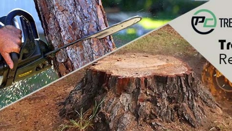 PCTrees Services