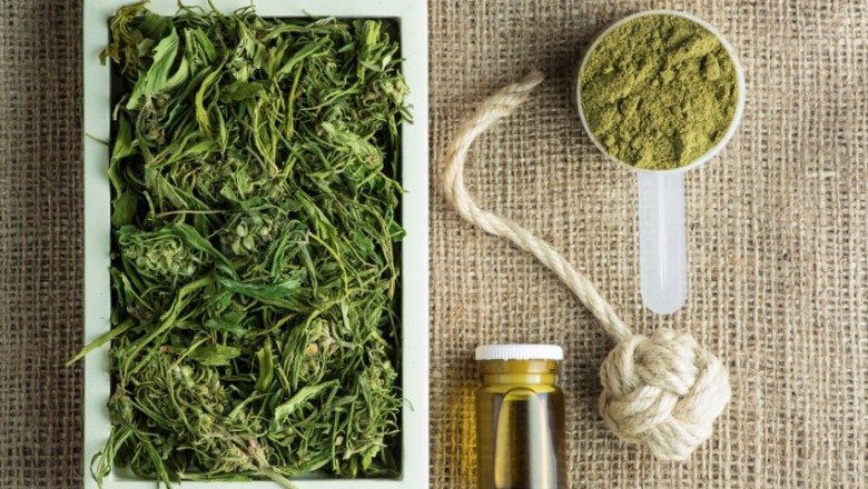 top cbd recommended edibles - cbdsushiCat