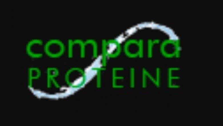 What Does Protein Do?