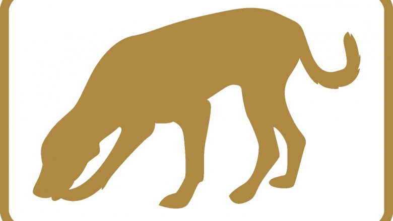 Health Benefits of Manuka Honey as an Crucial Constituent for Tissue Regeneration.