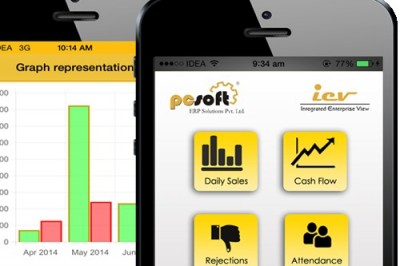 4 Reasons Why ERP Is Ideal for Growing Businesses