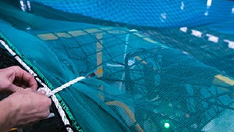 Safety Nets Manufacturer