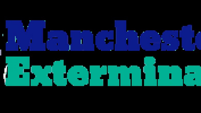 Mouse Removal in Manchester