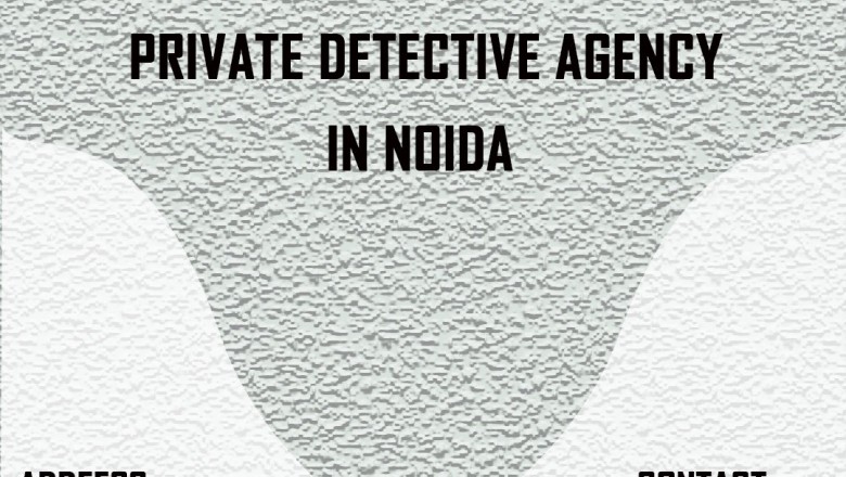 private detective in noida|Detective Raja
