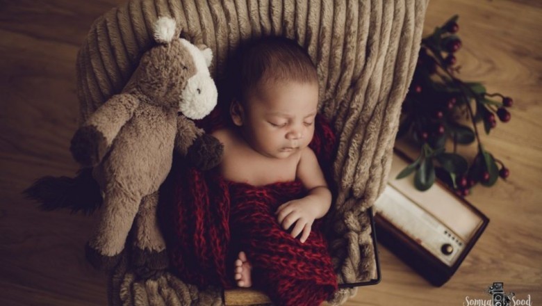 Why Color Coordination is Important in Photography