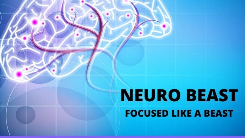 Best Brain Enhancement Supplements