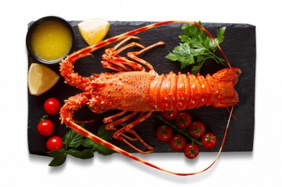Seafood Exportors in Dubai ,UAE
