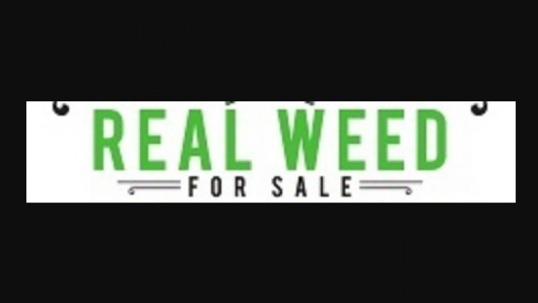 All about bubble hash