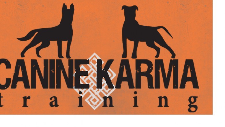 Best Dog Trainer Long Island