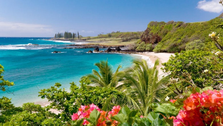 The Best Time to Visit Maui, Hawaii