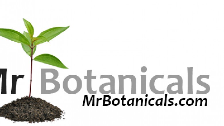 Points To Look For When Getting Plants Around the Internet