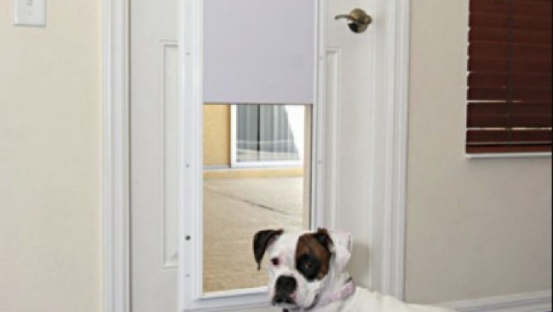 What to Know About Electronic Pet Doors?