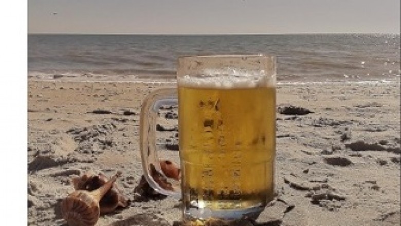 Beer on a Beach Music Album by Stephen M. Zelik Will Rock the Floor