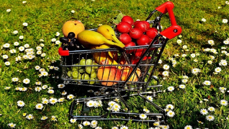 Save Money On Food