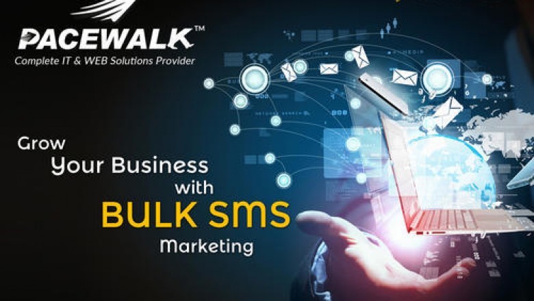 Best Web Design Company Zirakpur