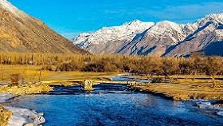 Ladakh Agents
