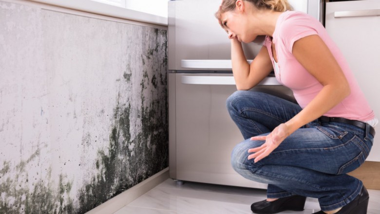 Benefits of Mold Remediation