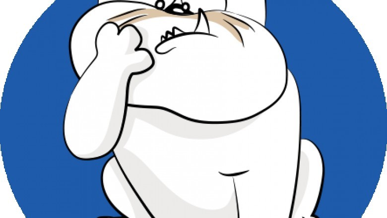 Pet Medicated Wipes For Dogs