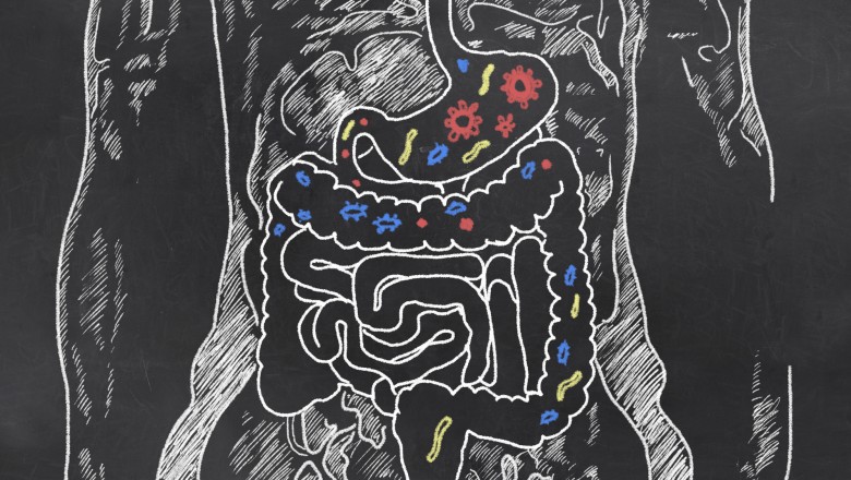 Treating the Gut is Vitally Important for Autism Spectrum Disorders