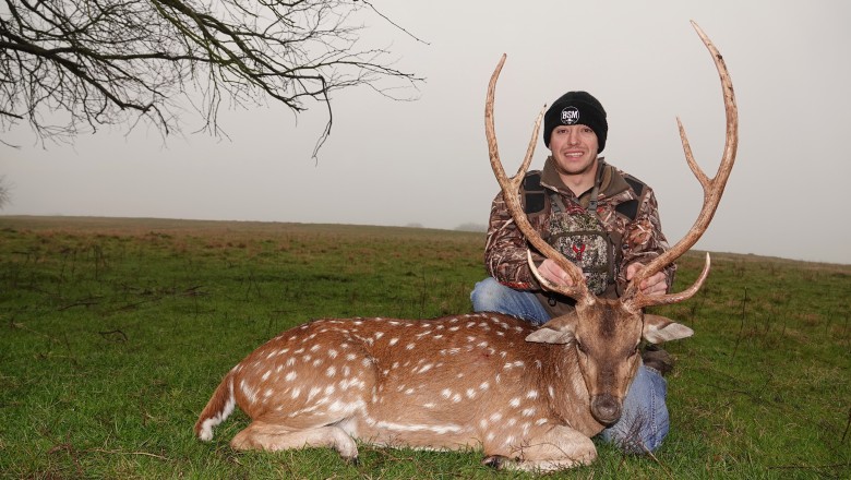 Superior Deer Hunting in Texas