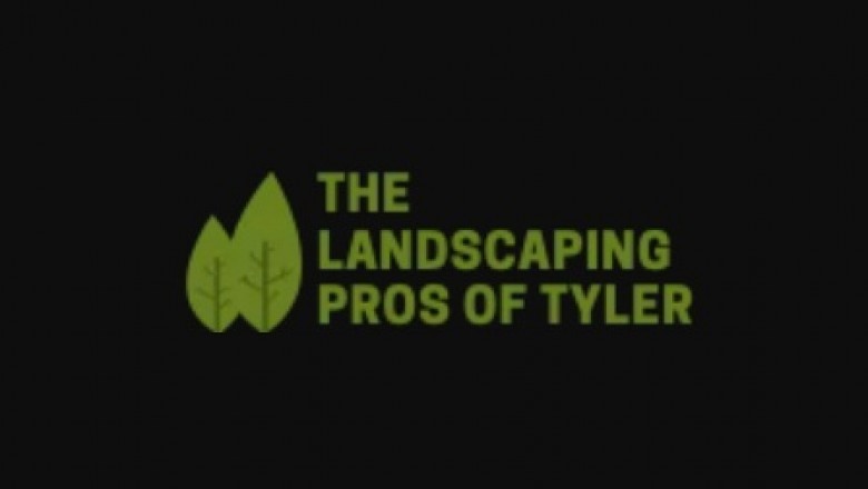 What to Concentrate on When Hiring a Landscaping Service