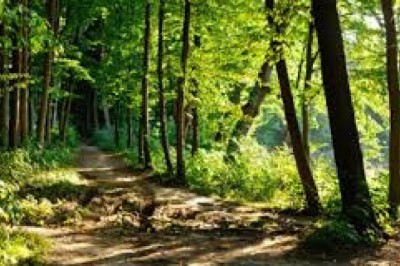 Notting Hill Counselling - Psychotherapy