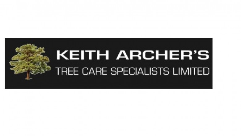 Tree Surgeons South London