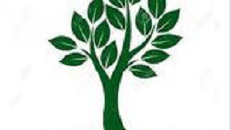 Peoria IL Tree Removing