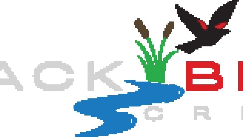 Full Spectrum CBD Oil For Sale