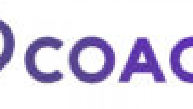 Professional Executive Coach