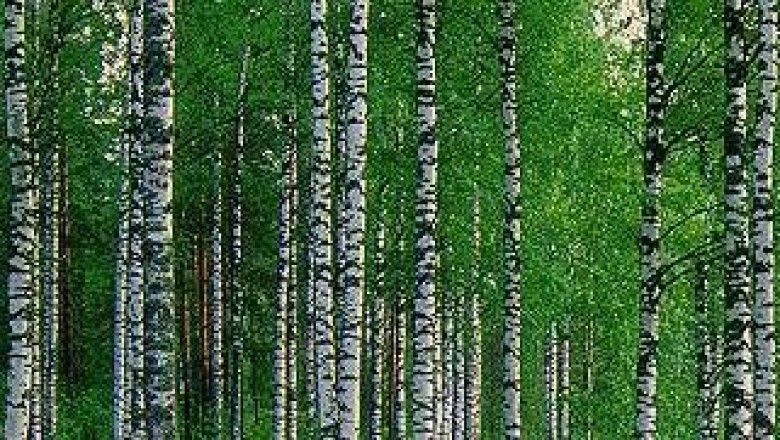 Forest Inventory Analysis