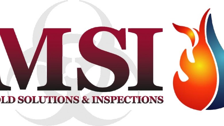Mold Removal Haverford