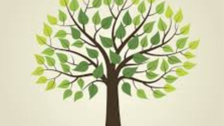 Tree Experts Service