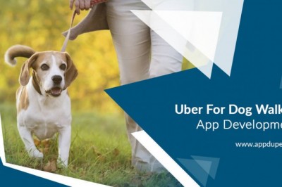 Where can I find an online dog walking app?