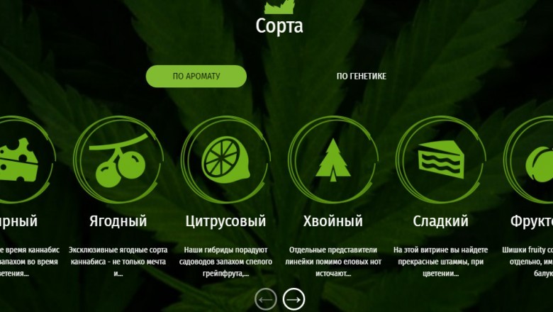 Hemp Seed - A Total Protein