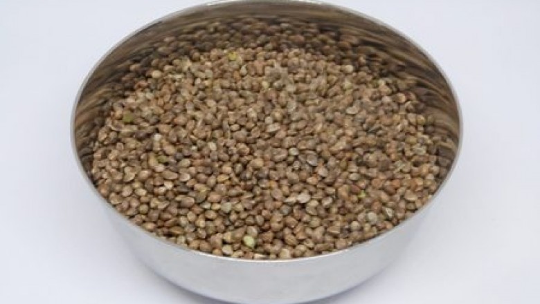 7 Guidelines for Buying CBD Products