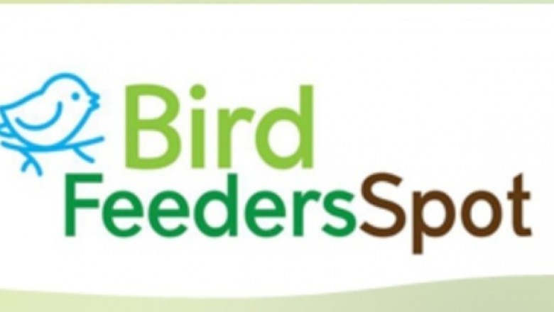 Bird Feeders and What You'll want to Know About Them