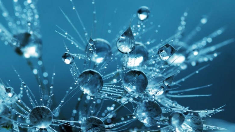 Life science syllabus for middle schools