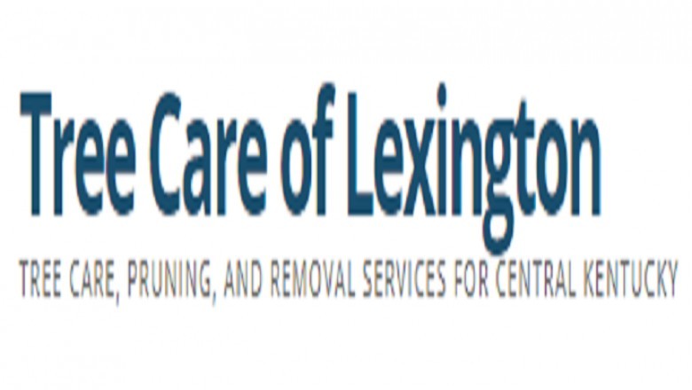 Tree Removal Services