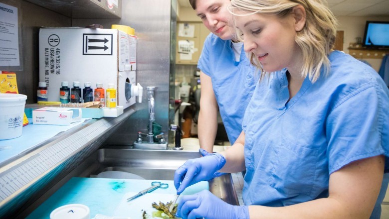 Best Dermatologist Email List | Dermatologists Mailing Address Database in USA