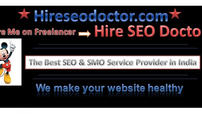 seo guru