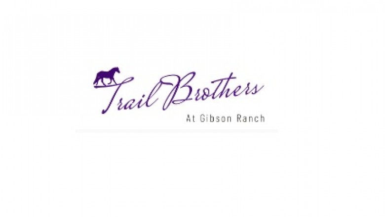 Roseville CA Horse Lessons