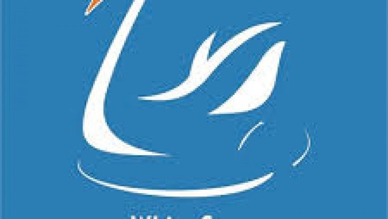 Iphone Screen Repair Auckland